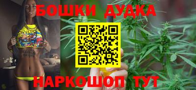 индика Нальчик