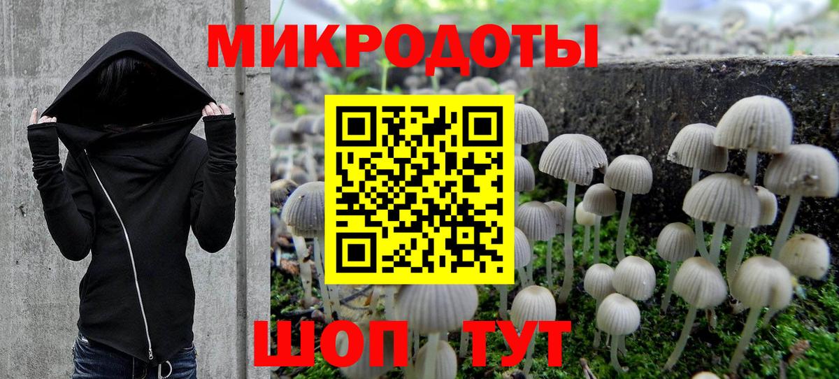 Галлюциногенные грибы Psilocybine cubensis Чайковский