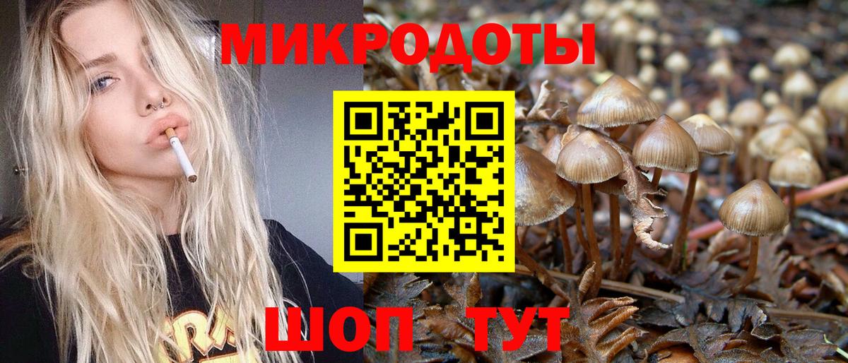 Чайковский  Галлюциногенные грибы ЛСД  Вход с VPN  Псилоцибиновые грибы ЛСД 