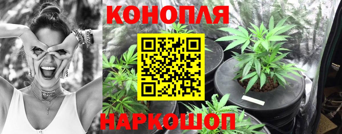 Канабис Ganja  Вход с VPN  Марихуана тримм  Шишки марихуана OG Kush  Чайковский 